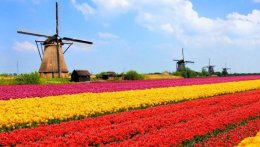 Những điều kiện xin visa Hà Lan